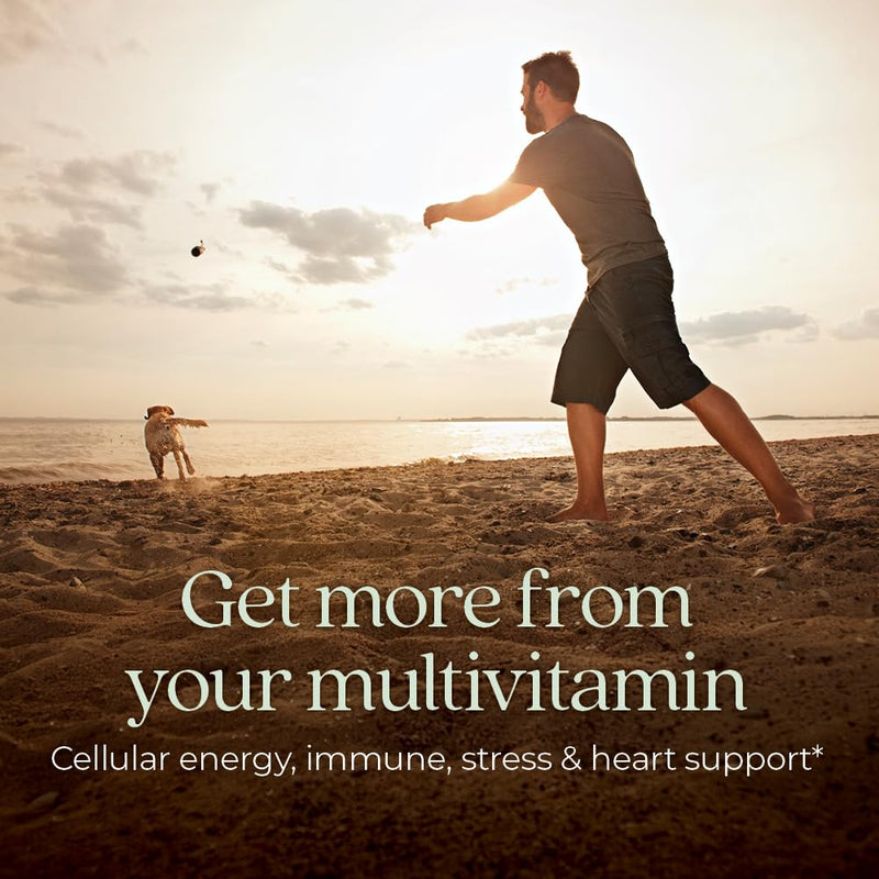 New Chapter Every Man's One Daily Multivitamin - Supports Immune, Energy & Bone Health - Contains Fermented Ingredients, Organic Vegetables & Herbs - Vegetarian, Kosher & Gluten-Free - 96 Tablets 96 Count (Pack of 1)