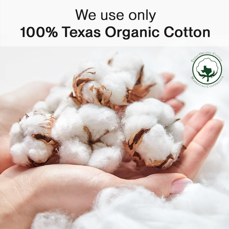 [Australia] - SANDIS Premium 100% Organic Panty Liners - Chemical Free Cotton Ultra Thin Liner for Women | Feminine Sanitary Napkins Unscented Everyday Use Leak Protection (Regular, 36 Count, Wrapped) Without Wings 