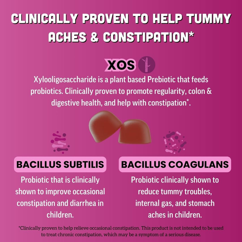 Llama Naturals Kids Probiotic with Prebiotic Fiber, Vegan, Organic Prebiotics and Probiotics Gummies for Gut Health Support, Toddler Real Fruit Gummy Vitamins, No Added Sugar Cane, Mixed Berry, 60 Ct Kids Mixed Berry 60 Count (Pack of 1)