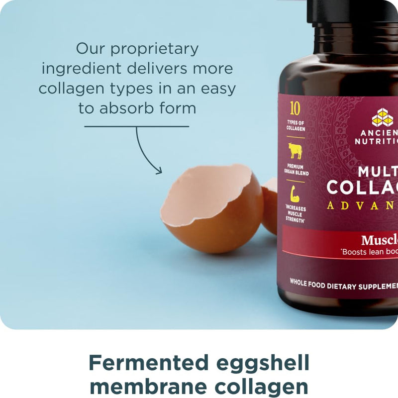 Ancient Nutrition Advanced Multi Collagen Protein Capsules Muscle, 90 Count | Women & Men, Vitamin C, Probiotics, Grass-fed Hydrolyzed Collagen, Supports Skin, Hair, Nails, Joints, Gut Health, 90 Count