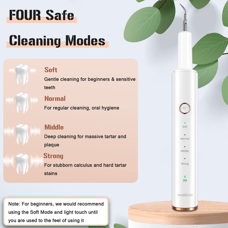 [Australia] - Plaque Remover for Teeth, Electric Tooth Cleaner Tartar Remover for Teeth with LED Light,4 Modes Rechargeable Teeth Cleaning Kit with Dental Tools, 2 Replaceable Heads (White A) 