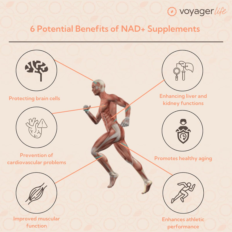 Voyager Pure NAD+ Powder Supplement | 100g Pouch – 3 Month Supply | 1g Per Serving | NAD Support for Cellular Health, Energy, Healthy Aging & Immune Support |3rd Party Tested, Non-GMO