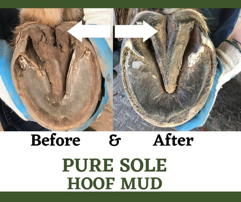 Thrush Treatment for Horses - Pure Sole Hoof Mud - Hoof Clay for Horses - A Horse Hoof Care Product for Thrush, White Line, and Hoof Wall Separation | Use Regularly for A Healthy Hoof. - 8 oz. - PawsPlanet Australia