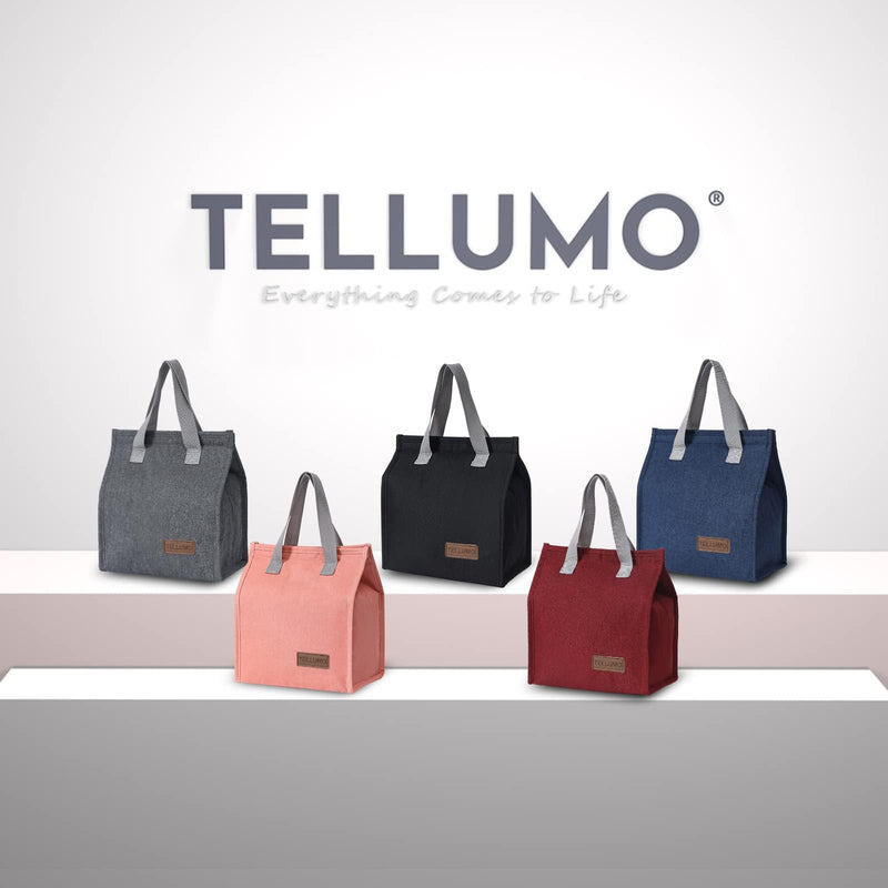 [Australia] - TELLUMO Lunch bag, Insulated Lunch Bag for Women Men Large Lunch Box Container Reusable Leakproof Tote for Office, Work, School, Beach or Travel (Dark) Dark 
