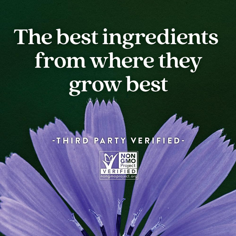 [Australia] - New Chapter Probiotic Gummies for Women and Men, All-Flora (1 Month Supply) – 55% Less Sugar+, Formulated for Holistic Gut Health Support with Probiotics + Prebiotic Fiber + 100% Vegan + Non-GMO 