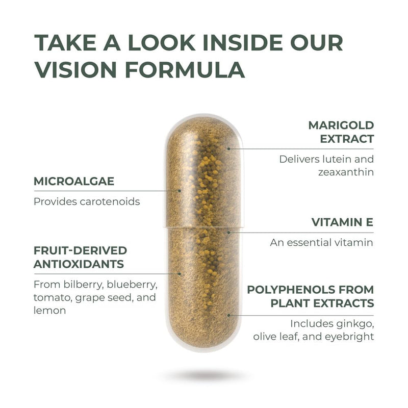 [Australia] - Primal Harvest Vision and Eye Support Complex with Lutein, Zeaxanthin Plus Vitamin E, Bilberry Extract, and Blueberry Extract for Overall Eye Health for Men and Women, 60 Capsules 