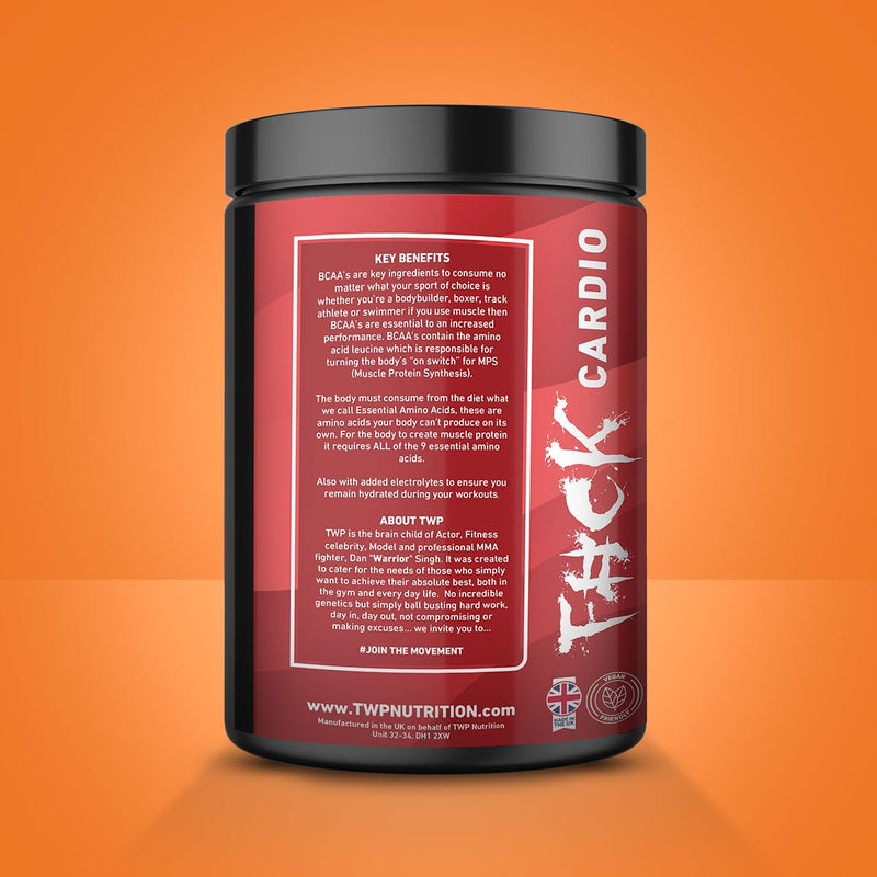 TWP Nutrition Platinum Series Endure, EAAs & BCAAs Electrolyte Blend Pre, Intra and Post Workout, Zero Sugar, 510g and 30 Servings, 20 Great Flavours (Peach Iced Tea) Peach Iced Tea