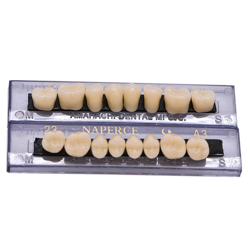[Australia] - Angzhili Dental Synthetic Acrylic Resin False Teeth for Halloween Horror Teeth Denture Teeth Sets Shade A3 Upper And Lower Acrylic Teeth Sets(168pcs) 