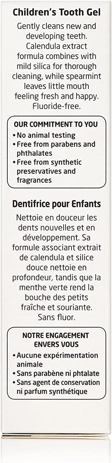 Weleda Oral Care Children's Tooth Gel, 1.7 Fluid Ounce (Pack of 3), Fluoride Free, Spearmint Flavor, Plant Rich Toothpaste with Calendula, Silica and Fennel 1.7 Fl Oz (Pack of 3)