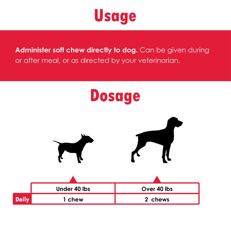 Proflora Probiotic Soft Chews for Dogs - Veterinary-Strength Daily Probiotic - Digestion Health - Boost Immune System - Skin and Coat Health - 180 Soft Chews - PawsPlanet Australia