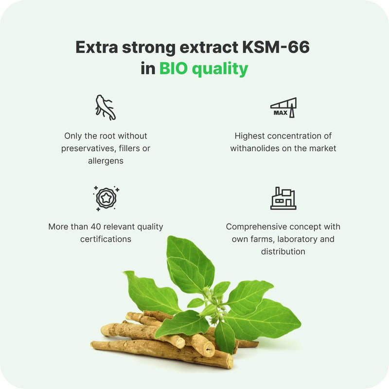 Vilgain Ashwagandha | Effective Extract KSM-66 | Anti-Stress Effect | Support of Memory and Physical Performance | 90 Capsules/Month