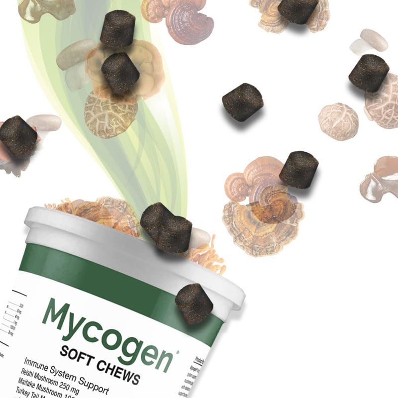 Mycogen for Dogs - Vitamins with 8 Types of Mushrooms - Support Immune System - 60 Soft Chews 1-Pack 60 chews - PawsPlanet Australia