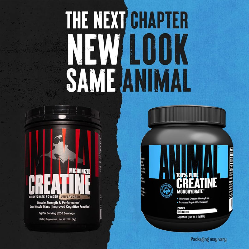 ANIMAL Pure Creatine Monohydrate – Pure, micronised Creatine Monohydrate Powder – 5 g Creatine per Serving – Easily Absorbed & unflavoured – 500 g 100 Servings (Pack of 1)