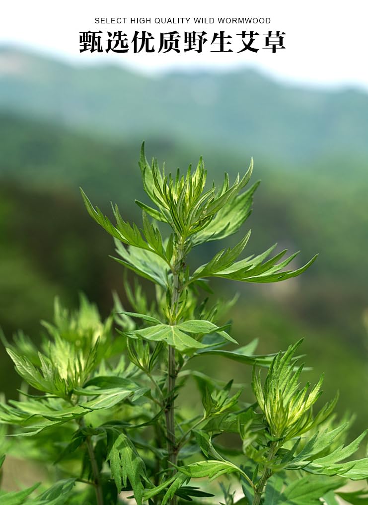 [Australia] - Moxa Stick Used for Moxibustion,The Moxibustion Sticks are Made of Pure Natural Mugwort as raw Material,extracted at a Ratio of 20:1.Moxa Sticks for moxibustion,ËâæÊù° ËâæÁÅ∏Ê£íPure moxi Rolls 10rolls 