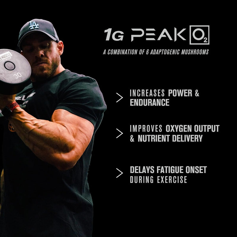 Jacked Factory Build-XT Daily Muscle Builder & Performance Enhancer - Muscle Building Supplement for Muscular Strength & Growth | Trademarked Ingredients Peak02, ElevATP, & Astragin - 60 Veggie Pills 60 Count (Pack of 1)