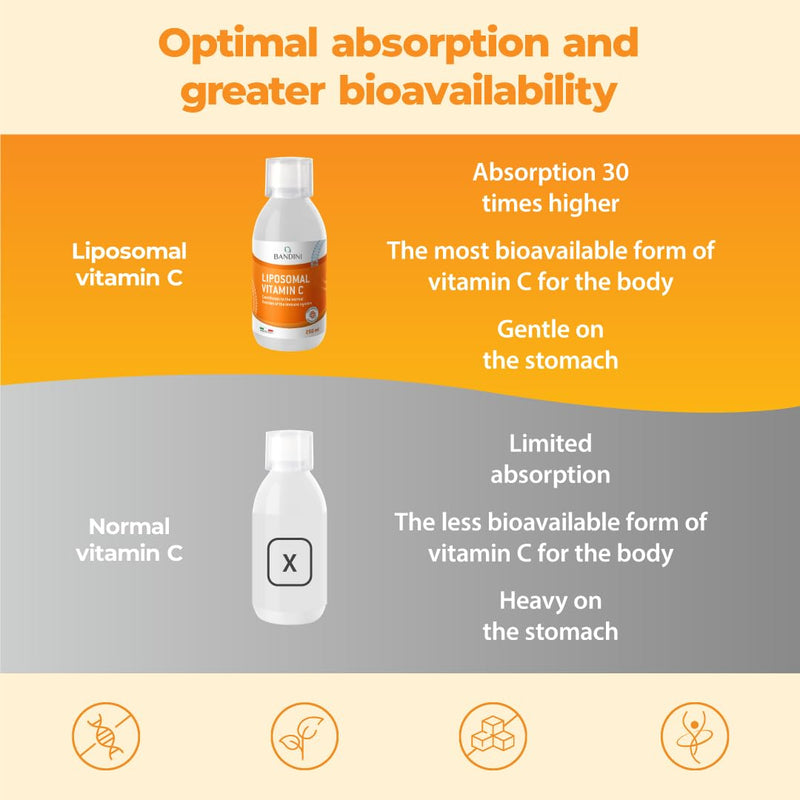 Bandini® Liposomal Vitamin C 1000mg Liquid | High Strenght Ascorbic Acid, High Absorption & Bioavailability | Immunity, Energy, Skin Support - Boosts Collagen & Reduces Fatigue | Vegan, GMO-Free