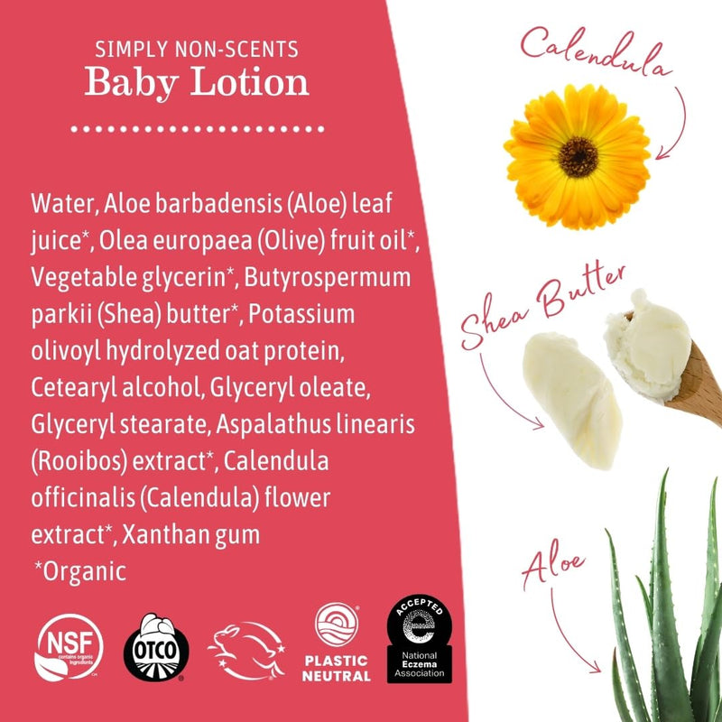 Earth Mama Simply Non-Scents Baby Lotion for Dry Skin - Calendula Cream for Newborn Skin Care - 8 oz - Fragrance Free - Infant Essentials Unscented 8 Fl Oz (Pack of 1)