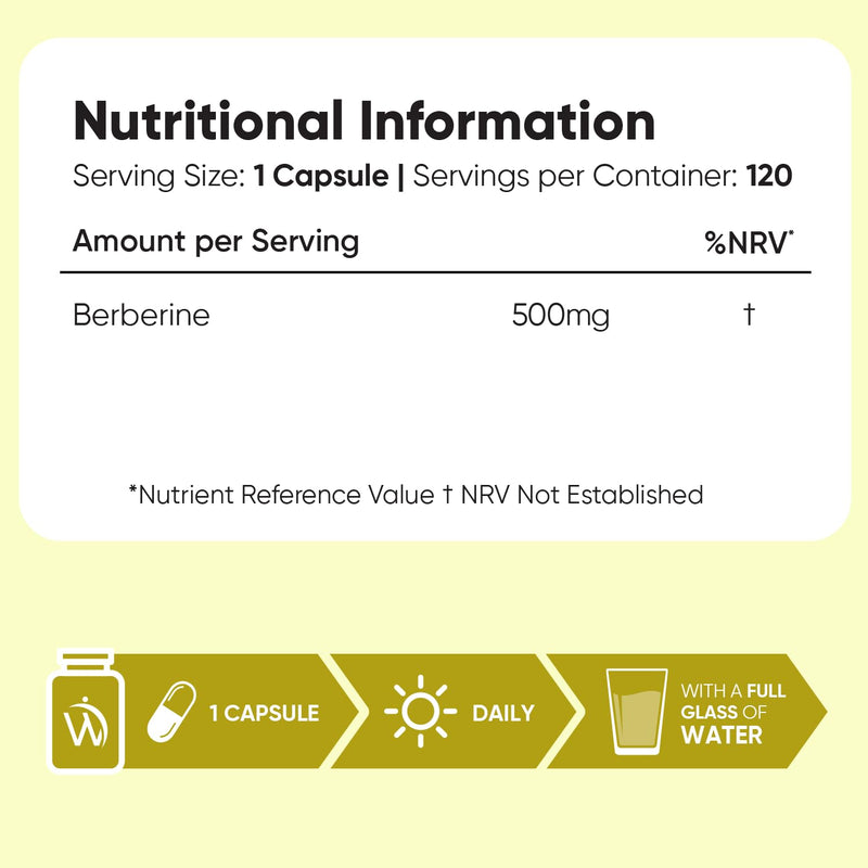 Berberine Supplement - 500mg per Capsule - 4 Months Supply - 120 Capsules - Stable Berberine Form- 1 per Day - Vegan-Friendly & Non-GMO - Sourced from Berberis Aristata
