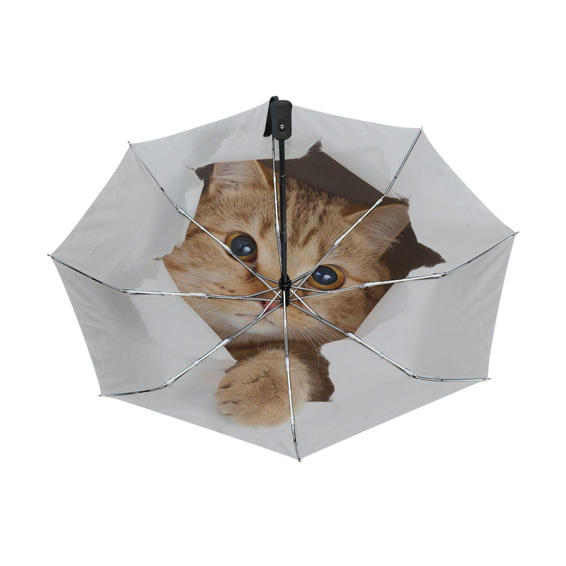 Black Compact Travel Umbrella Maine Coon Cat Auto Open Close Umbrella Windproof Anti-UV Cat #2