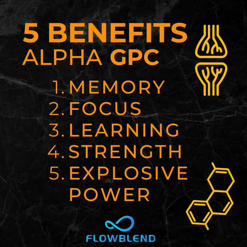 VITA PHARMA Alpha-Gpc 600mg 120 Capsules, Memory & Cognitive Function, Mental Focus & Clarity, Brain Health, Mental Performance