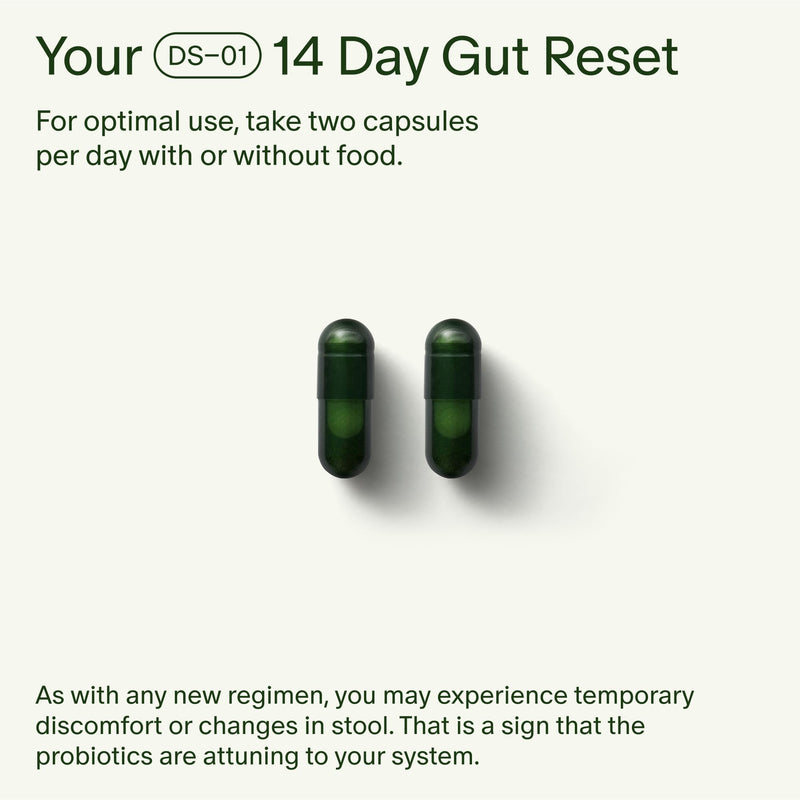 [Australia] - Seed 14 Day Gut Reset - Prebiotic and Probiotic for Women & Men - Digestive Health, Gut Health, Rapid Gut Recovery, Bloating & Constipation Relief - Vegan & Shelf-Stable - 28 Capsules (14-Day Supply) 