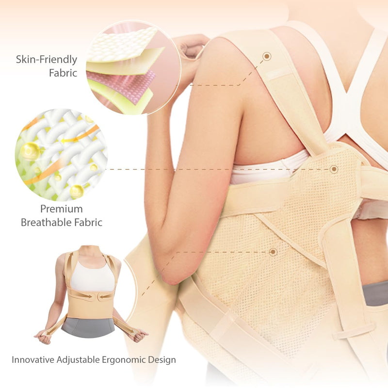 Posture Corrector for Women & Men – Adjustable Back Brace with Full Back Support, Shoulder Straightener for Spine Alignment, Scoliosis, Hunchback & Back Pain Relief (Beige,Large) Beige Large