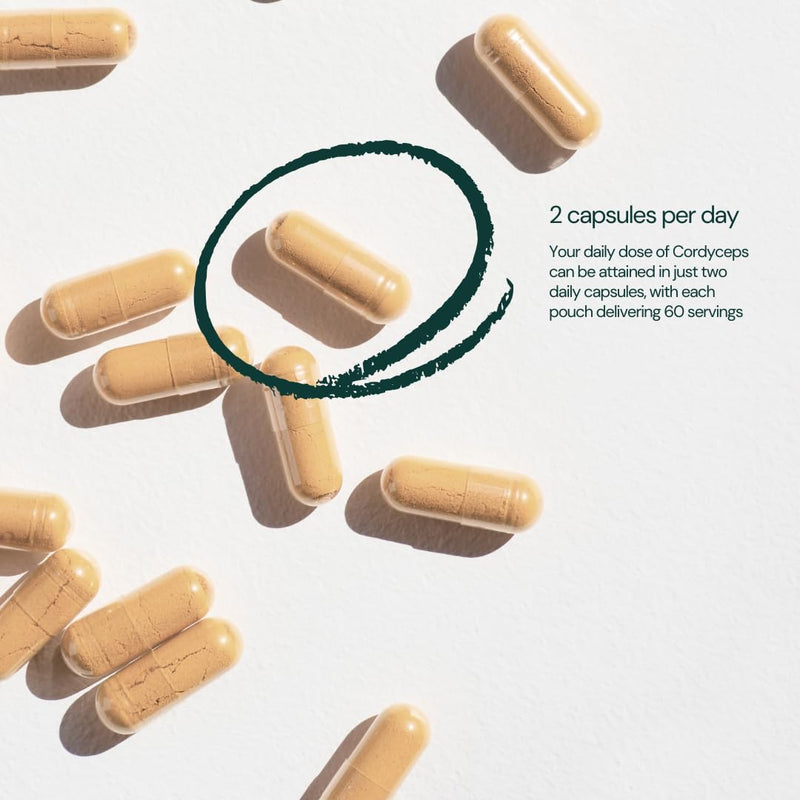 Dr Sosnowski's BioActive Cordyceps Mushroom Capsules | 1000mg High Strength Cordyceps Extract for Daily Support (120 Capsules)