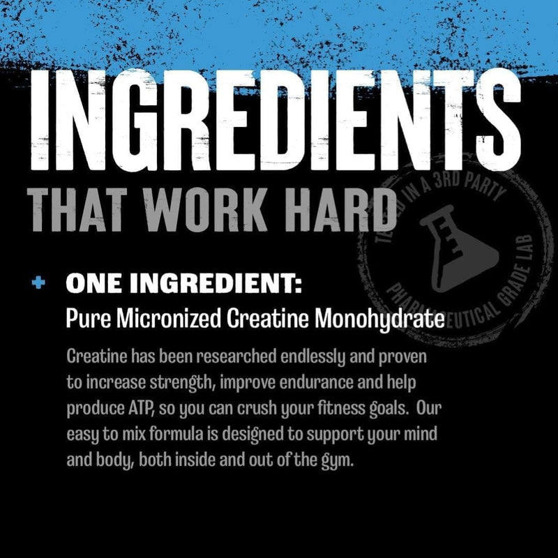 ANIMAL Pure Creatine Monohydrate – Pure, micronised Creatine Monohydrate Powder – 5 g Creatine per Serving – Easily Absorbed & unflavoured – 500 g 100 Servings (Pack of 1)