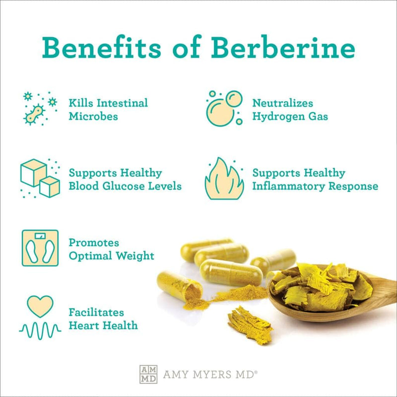 VITA PHARMA Berberine HCL Tablets 1000mg x 240, Blood Sugar Levels, Heart & Metabolic Health, Weight Management & Fat Metabolism, Energy & Digestive Wellness