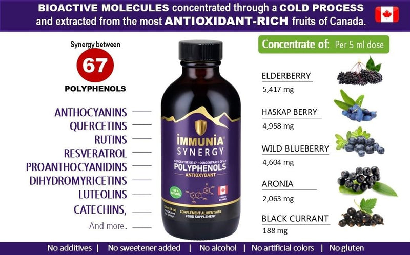Synergy. Elderberry Supplement for Immune System Support - Powerful Natural Antioxidant. POLYPHENOLS Concentrate. Elderberries from Canada (1-Pack) 1 count (Pack of 1)