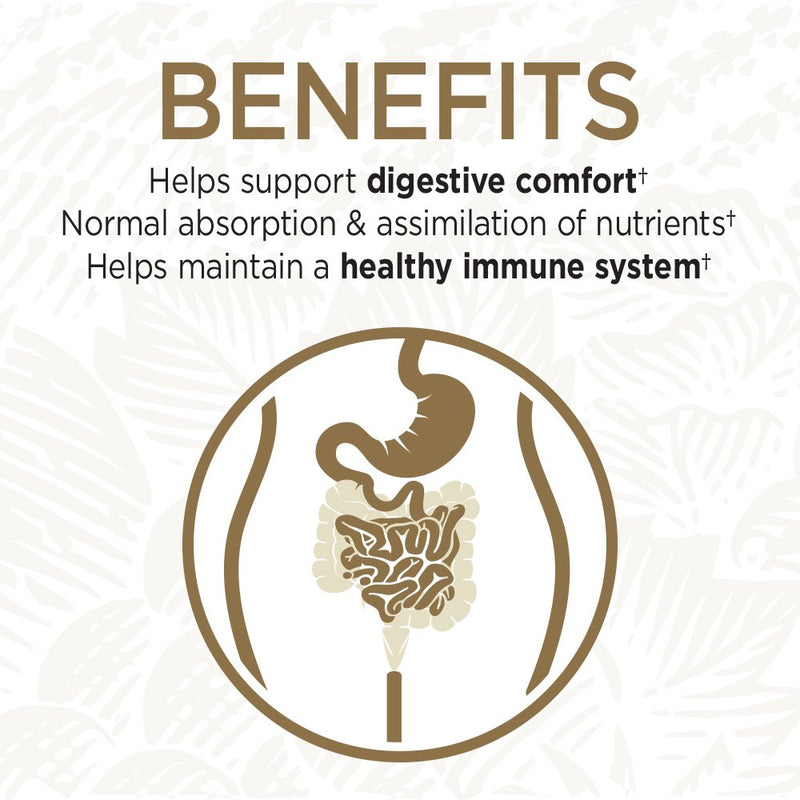Garden of Life Primal Defense Ultra, 15 Billion CFU Plus HSOs, 90 Capsules | For Digestive Health Balance, 15 Billion CFU and 13 Strains Plus HSOs, Vegetarian and Gluten Free, 90 Capsules 90 Count (Pack of 1)