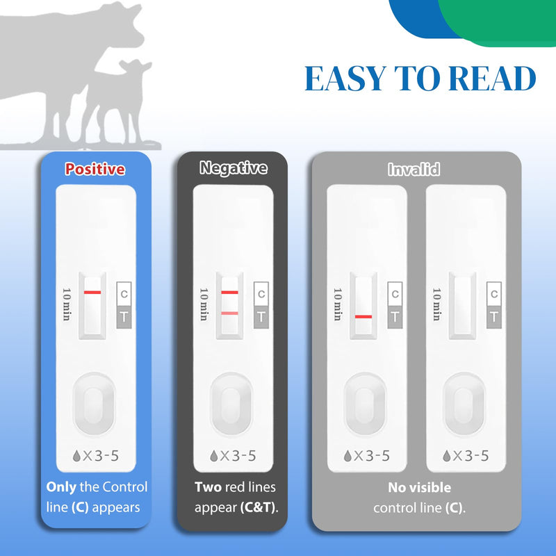 Non-Invasive Bovine Pregnancy Test Kit (2 Pack) - Painless Urine Test for Cattle, Stress-Free Early Detection, Fast Results in 5-10 Mins, Safe & Hygienic for Dairy & Beef Farms 1 Count (Pack of 2)