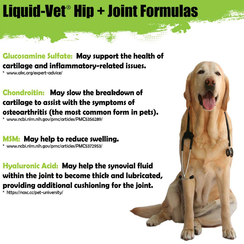 by COOL PET Holistics K9 Hip & Joint Advanced Formula, Chicken Flavor, 32 oz (LVDJA-CH-04PK-32U) - PawsPlanet Australia