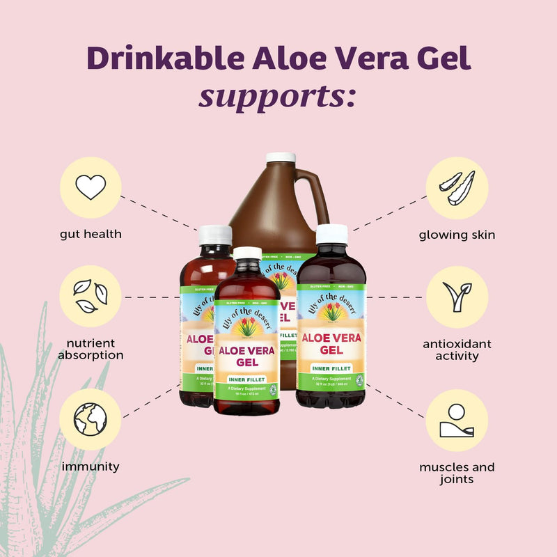[Australia] - Lily of The Desert Aloe Vera Gel - Inner Fillet Filtered Aloe Vera Drink, Thicker Consistency,Digestive Enzymes for Gut Health, Stomach Relief, Wellness Glowing Skin 16 Fl Oz Gelly Sachet Included. 