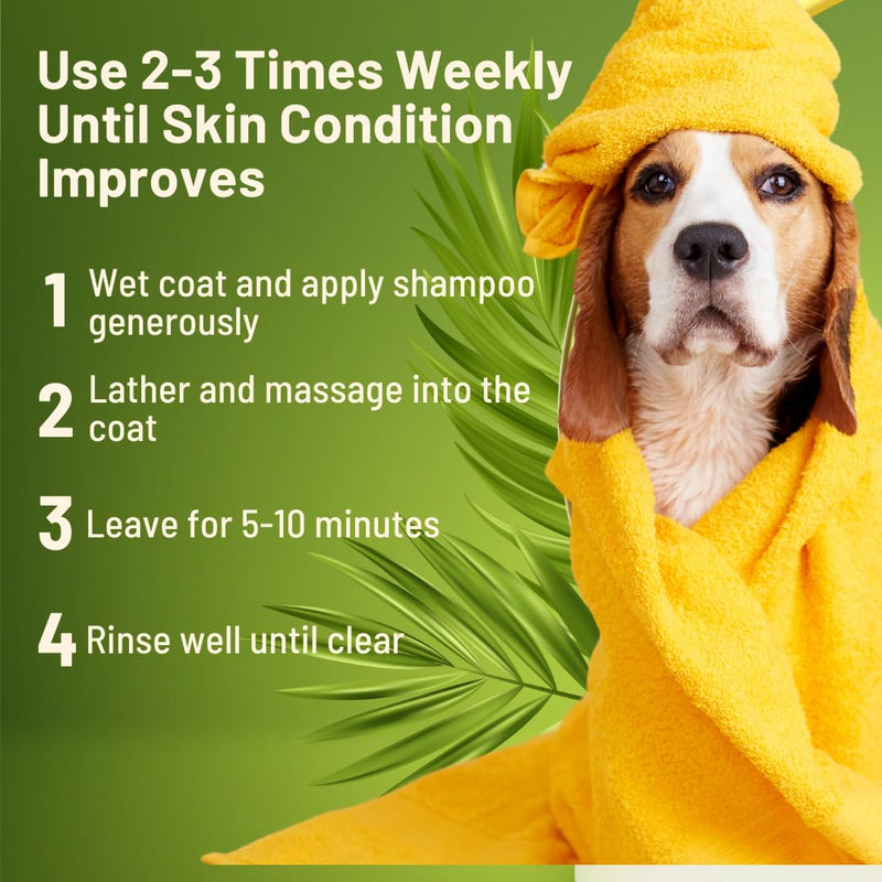 Healthy Paw Life's Sulfur & Neem Restorative Shampoo with Oatmeal - PawsPlanet Australia