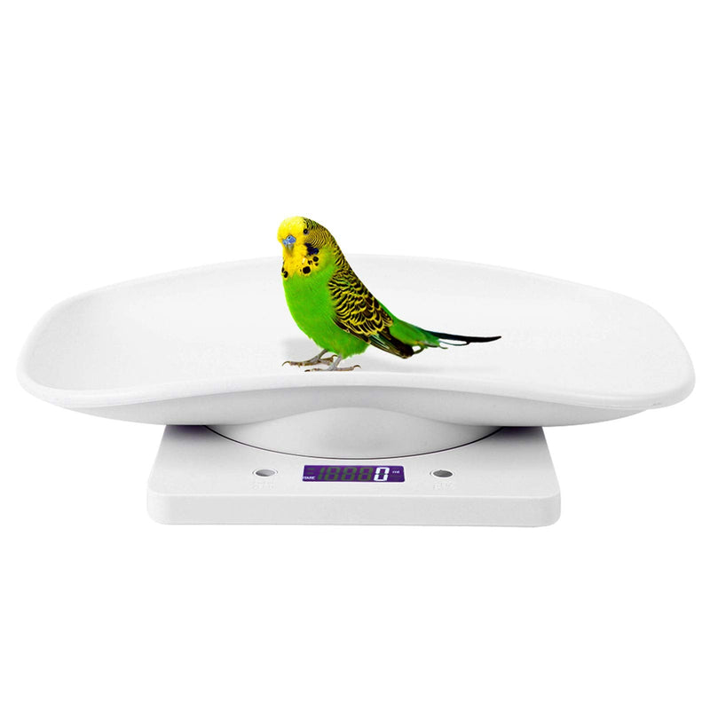 Digital Pet Scale, Small Animal Weight Scale Portable Electronic LED Kitchen Scale High for Weighing Small Dog Cat Kitten Rabbit Puppy Hamster Hedgehog - PawsPlanet Australia