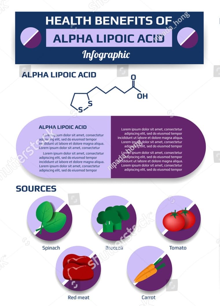R-Fraction Alpha Lipoic Acid 600mg 30 Capsules, High Potency R-ALA for Antioxidant Support, Cellular Energy & Healthy Glucose Metabolism