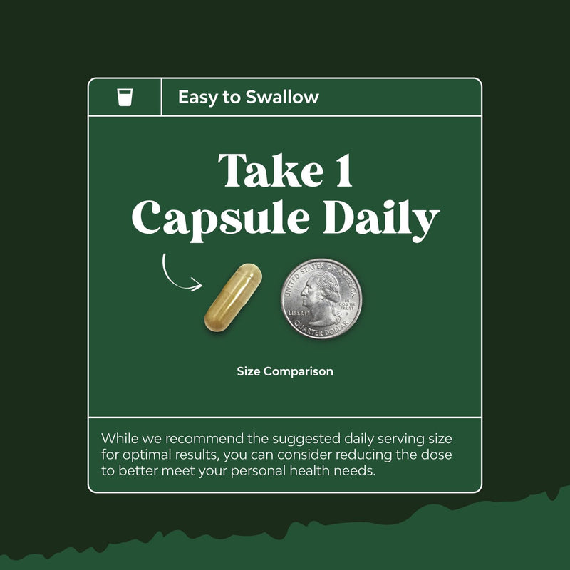 [Australia] - Potent Olive Leaf Extract Capsules - High Strength Antioxidant Supplement with Pure Olive Leaf with 20% Oleuropein - Herbal Heart Health Supplement - Vegan Non-GMO & Gluten Free (2 Month Supply) 60 Count (Pack of 1) 