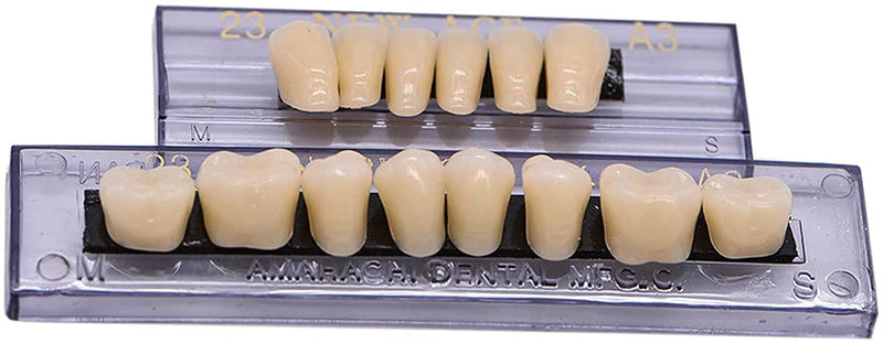 [Australia] - RZJZGZ Synthetic Resin Tooth Denture False Teeth for Halloween Horror Teeth 23 A3(56 Pcs/2Set) 