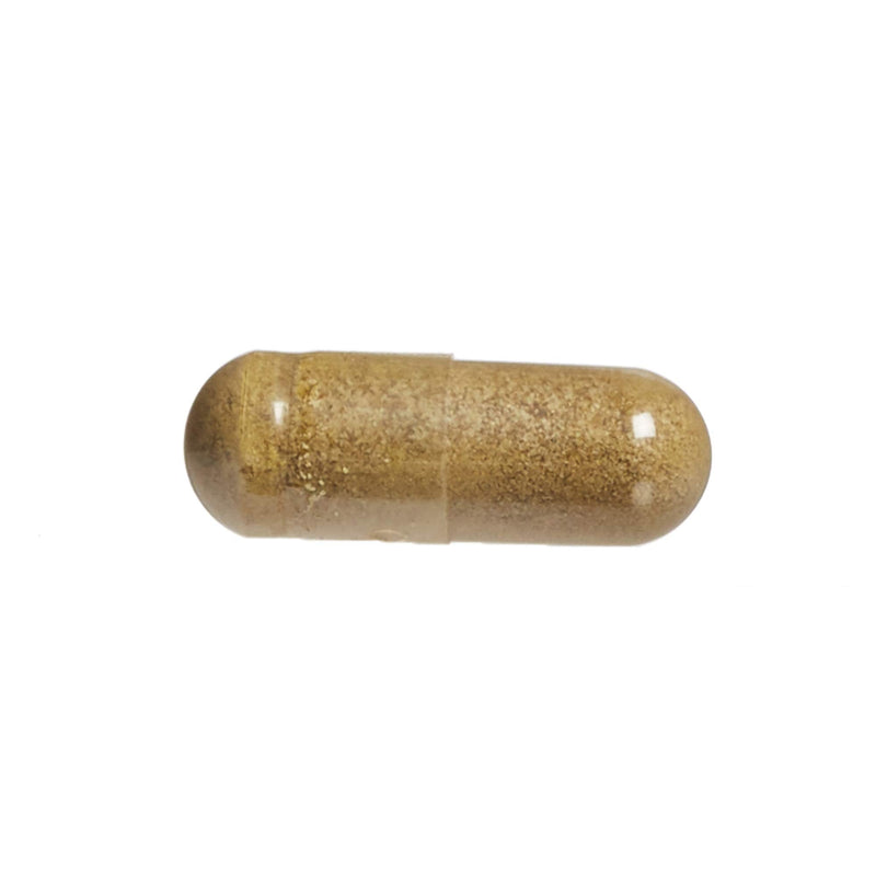 [Australia] - HerbalFactors by Natural Factors, Olive Leaf 500 mg, Natural Wellness Formula, 90 Capsules 90 Count (Pack of 1) 