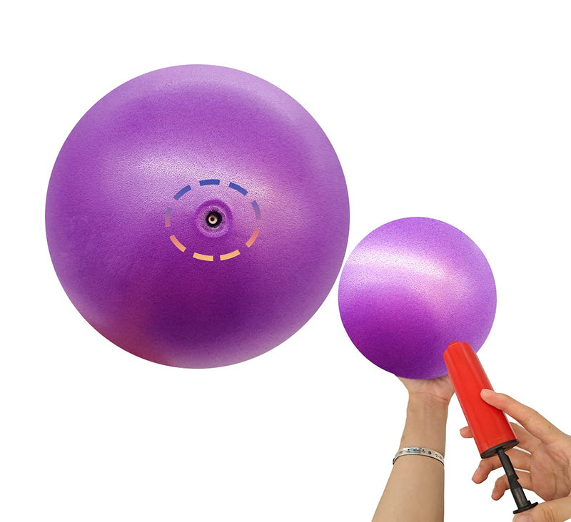 [Australia] - Small Pilates Ball 6 Inch Exercise Ball for Yoga Classroom Core Ball Barre Ball for Physical Therapy Balance Stretching with Pump Pink 