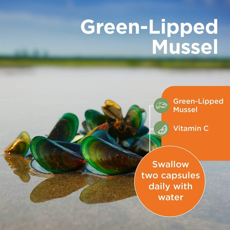 AMINOLAB - Green LIPPED Mussel 2500mg 365 Tablets - Supports Joint Health & Mobility, Promotes Cartilage Repair, Reduces Muscle Soreness & Inflammation - Rich in NUTRIENTS.