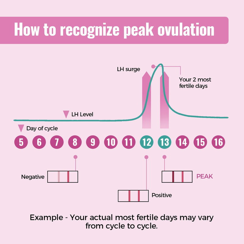 20 LH Ovulation Test Strips, Urine Cycle Tracking for Women | Individually sealed cycle monitoring refills with sanitary absorption materials for routine wellness tracking