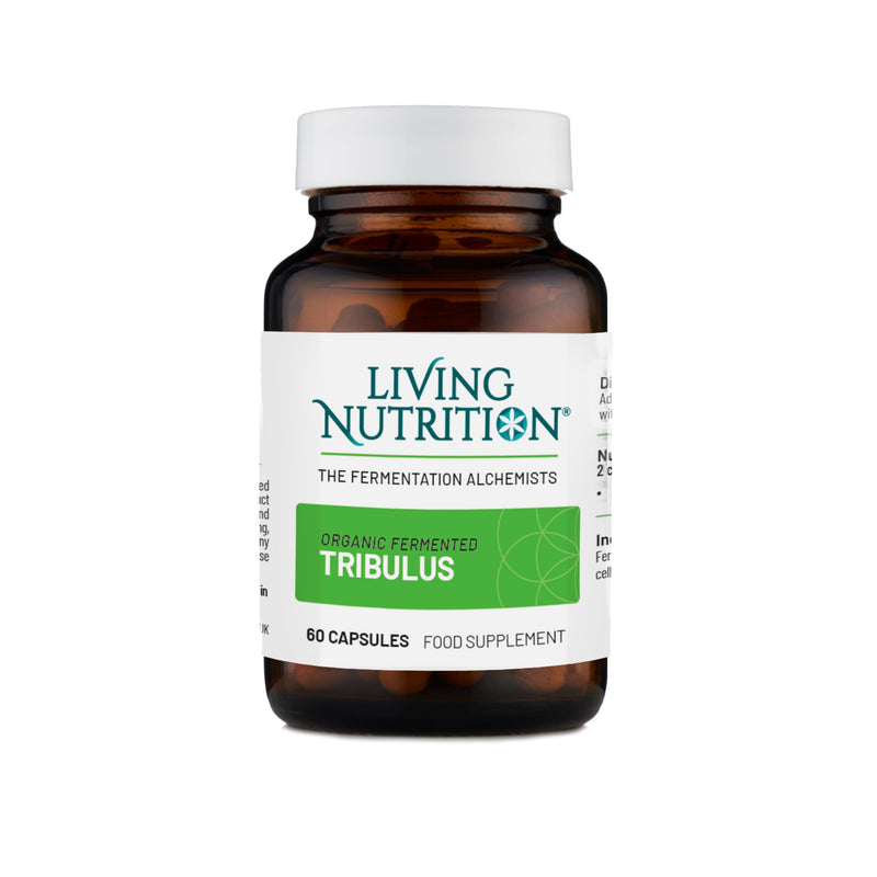 Living Nutrition Organic Fermented Tribulus