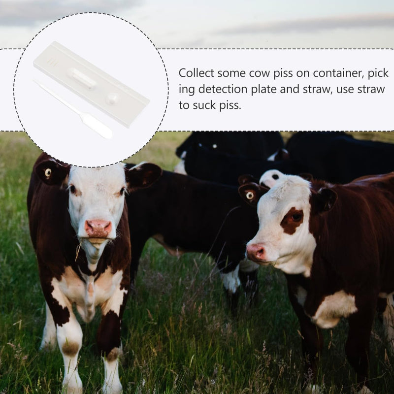 PATKAW 3 Pcs Pregnant Tester Cow Pregnancy Test Paper Pigs Pregnancy Test Strip Horse Pregnancy Test Strip Cattle Pregnancy Test Strips Farm Testing Tool Livestock Pregnant Test Paper Sow