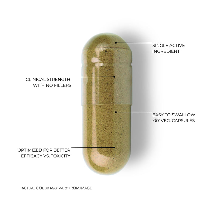 [Australia] - Bacopa Monnieri Capsules 750mg ‚Äì Herbal Supplement with 40% Bacosides Bacopa Monnieri - Helps to Support Memory and Cognitive Ability ‚Äì 120 Capsules 