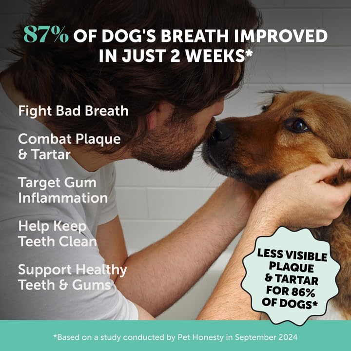 Pet Honesty Dog Breath Freshener Dental Powder for Teeth Cleaning Plaque Off, Dental Care for Dogs, Tartar Remover for Teeth with Natural Herbal Blend + Postbiotics (Mint - 30 Servings) Mint 6.7 Ounce (Pack of 1) - PawsPlanet Australia