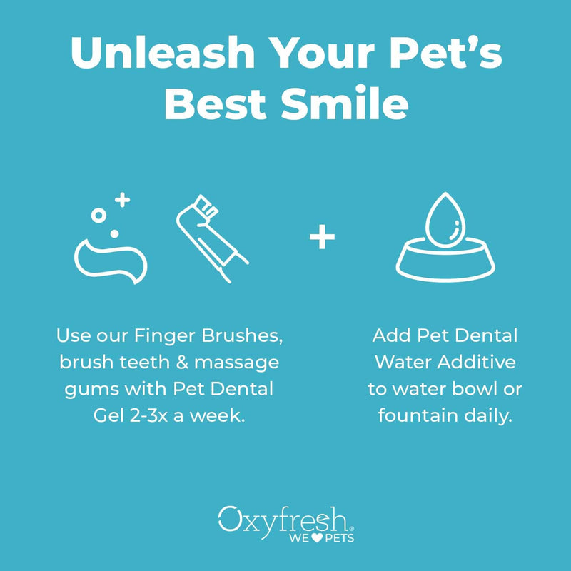Oxyfresh Premium Pet Dental Kit for Dogs & Cats – Easy Solution for Fresh Breath, Clean Teeth, Control Plaque & Tartar – Vet Formulated Pet Toothpaste 1oz + Water Additive 3oz + 3 LG Brushes Kit Small Kit