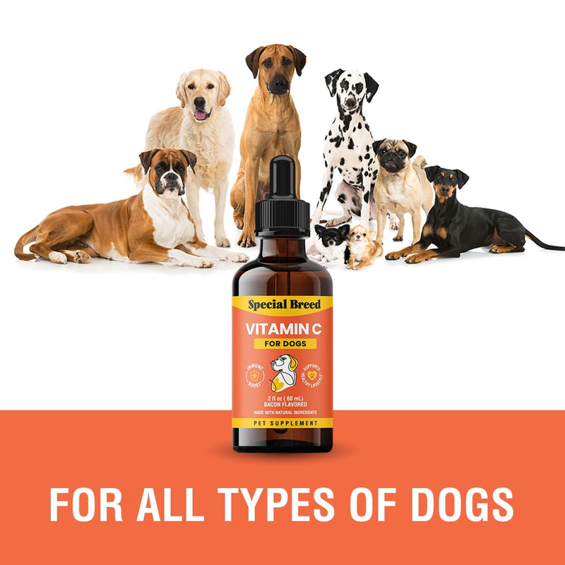 Vitamin C for Dogs, Helps Support Immune System, Vitamin C Liquid Supplement, Dog Immune Booster, Bacon Flavored, 2oz - PawsPlanet Australia