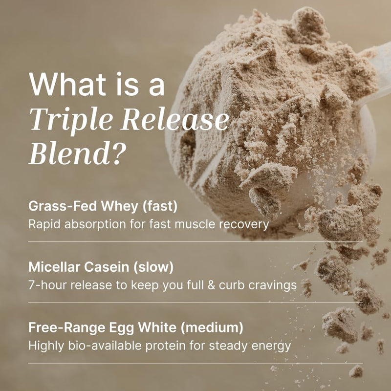 EXALT Nutrition - Whey Protein Powder - Ghanaian Cacao - 500g - Premium Grass Fed Whey - Micellar Casein & Free Range Egg White - 7hr Triple-Release Blend - Naturally Sweetened with Dates 500 g (Pack of 1)